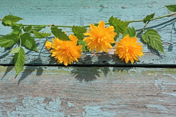 Pretty wooden background with yellow flowers — Stock Photo, Image