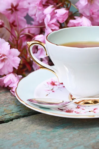 Beautiful japanese cherry tree and a cup of tea — Stock Photo, Image