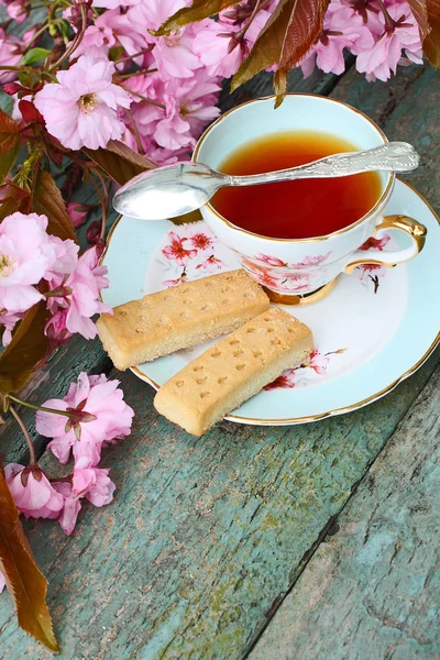 Beautiful japanese cherry tree and a cup of tea — Stock Photo, Image