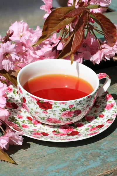 Beautiful japanese cherry tree and a cup of tea — Stock Photo, Image