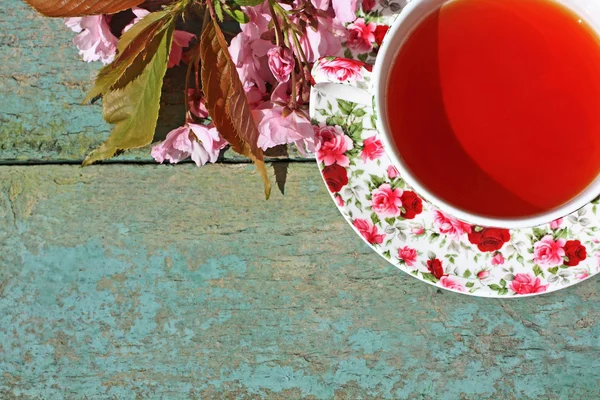 Beautiful japanese cherry tree and a cup of tea — Stock Photo, Image