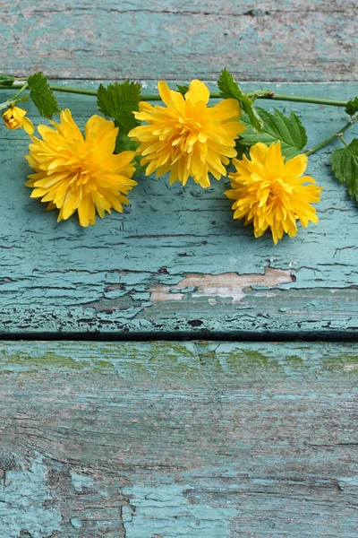 Joli fond en bois avec des fleurs jaunes — Photo