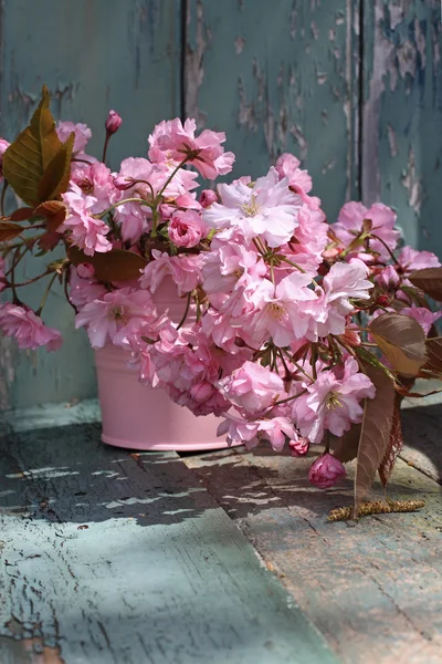 Hermosas flores de cerezo japones en el jarrón —  Fotos de Stock