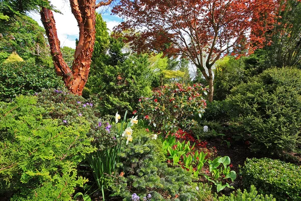 Belo jardim de primavera — Fotografia de Stock