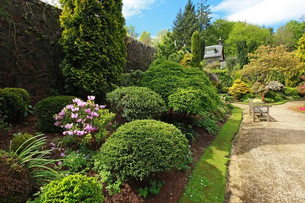 Bellissimo giardino primaverile con buxus — Foto Stock