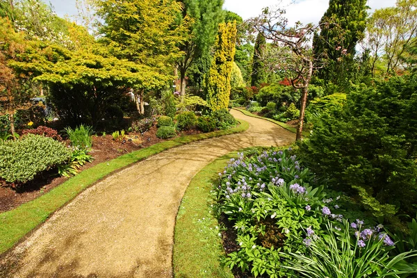 Belo jardim de primavera — Fotografia de Stock