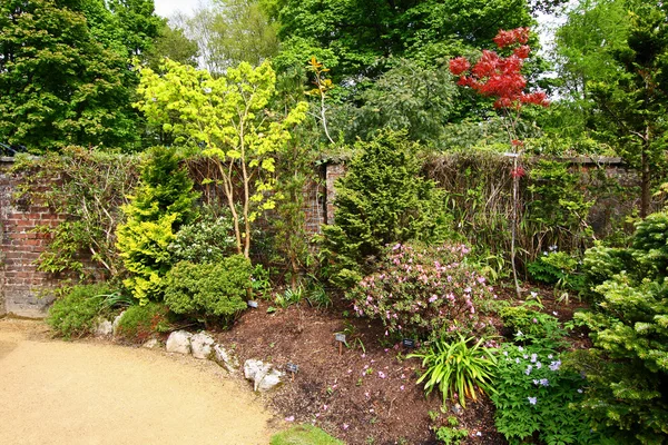 Vacker vårträdgård — Stockfoto
