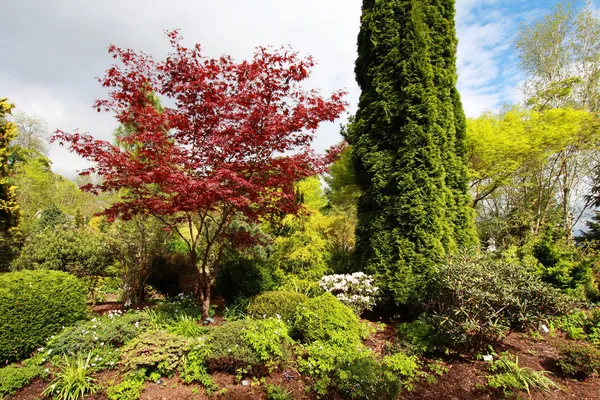 Bellissimo giardino primaverile — Foto Stock