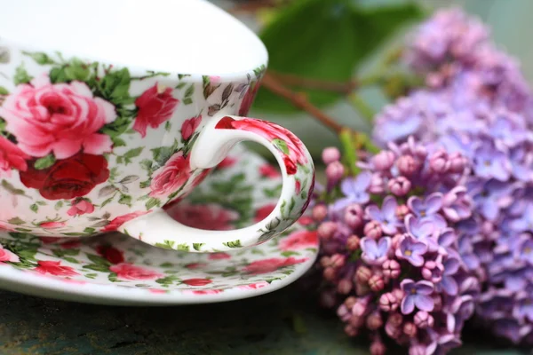 Hermoso lical y una taza de té —  Fotos de Stock