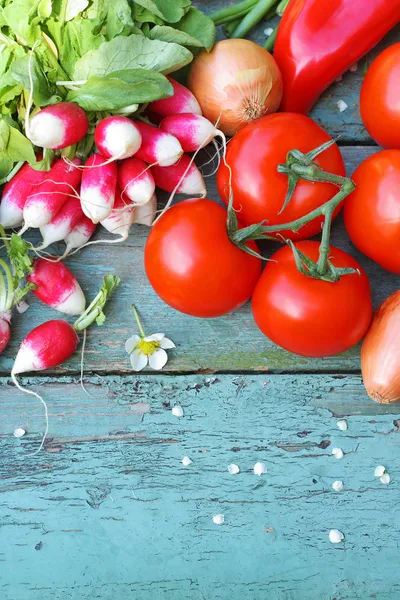 Une collection de légumes frais — Photo