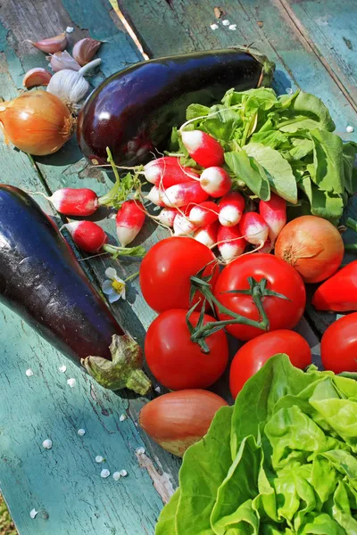 Uma coleção de vegetais frescos — Fotografia de Stock