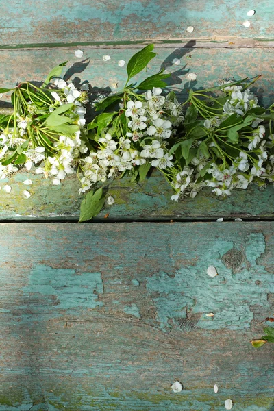 Beautiful spring white flowers — Stock Photo, Image