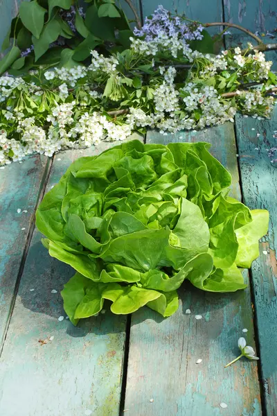 Uma coleção de vegetais frescos — Fotografia de Stock