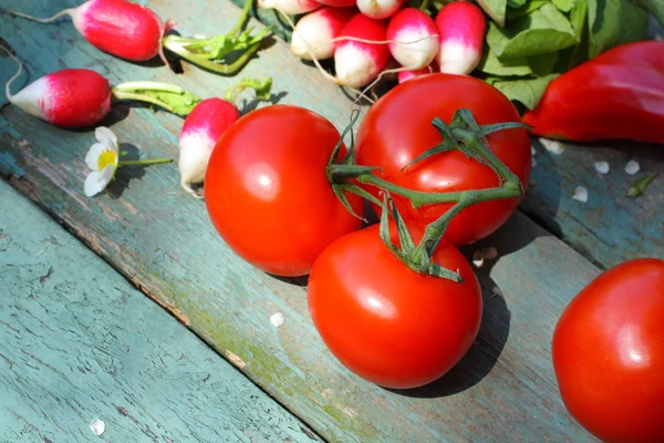 Una collezione di verdure fresche — Foto Stock