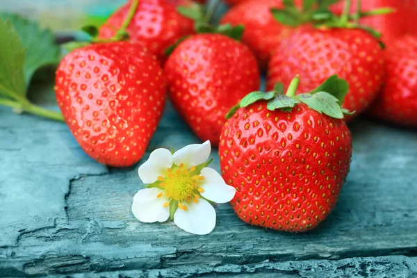 Čerstvé strawbarries detail — Stock fotografie