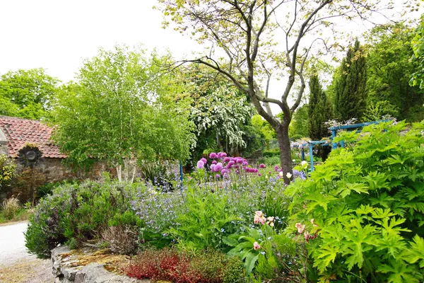 Schöner Frühlingsgarten — Stockfoto