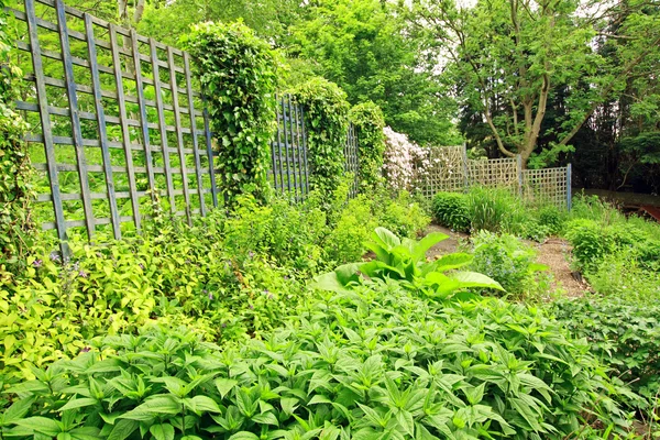 Hermoso jardín viejo con valla de madera — Foto de Stock