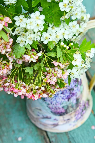 Flor da Primavera — Fotografia de Stock