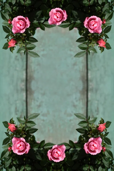 Romantic vintage roses background — Stock Fotó