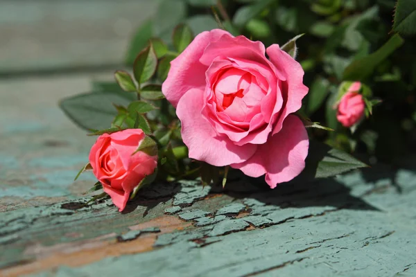 Romantische roze rozen achtergrond — Stockfoto