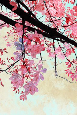 sonbahar yaprakları ile sanatsal arka plan