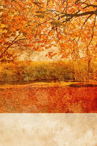 Outono no parque fundo grungy — Fotografia de Stock