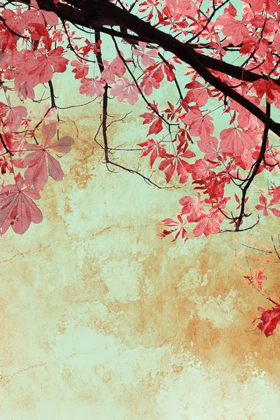 Künstlerischer Hintergrund mit Herbstblättern — Stockfoto