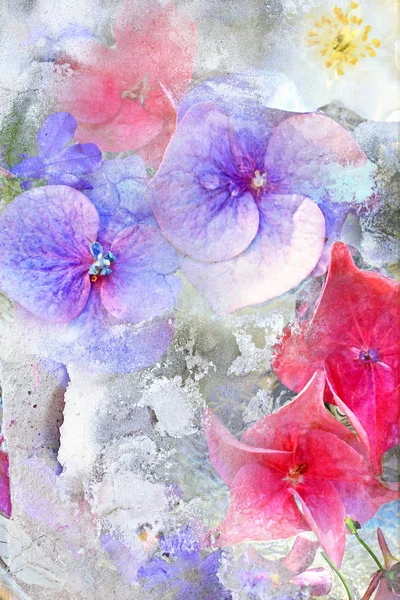 Beautiful summwer flowers background — Stock Photo, Image