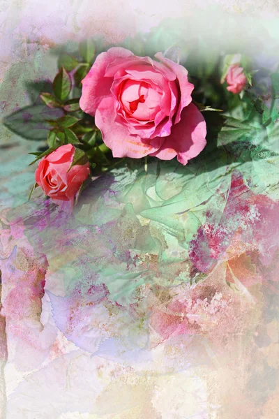 Romantische rosa Rosen Hintergrund — Stockfoto