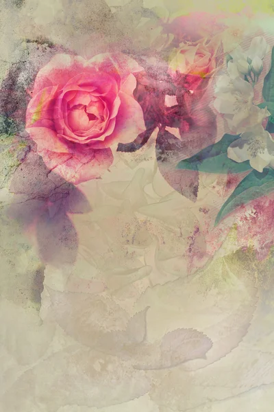 Romantic pink roses background — Stock Photo, Image