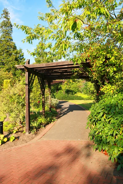 Vacker trädgård i parken — Stockfoto