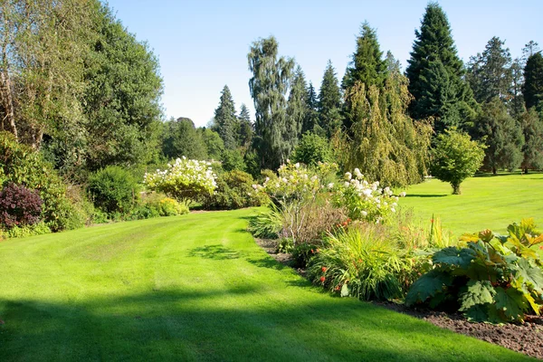 Mooie tuin in het park — Stockfoto