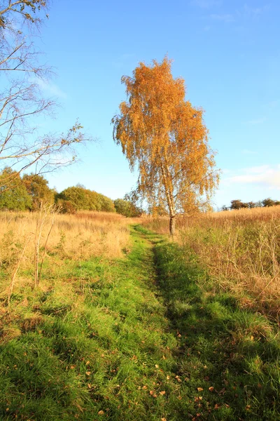 Beautiful autumnal landscape — Stock Photo, Image