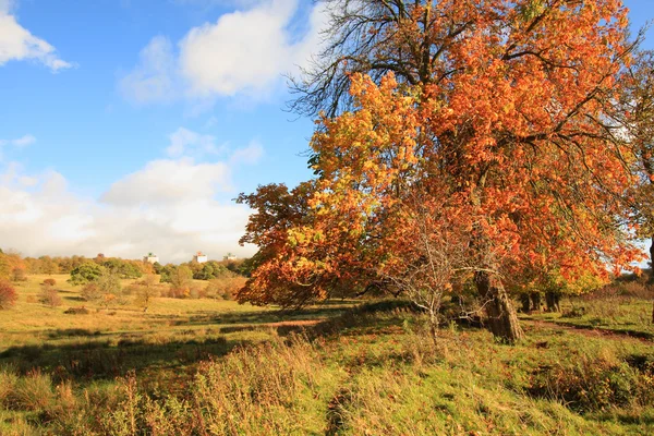 Hermoso paisaje otoñal — Foto de Stock