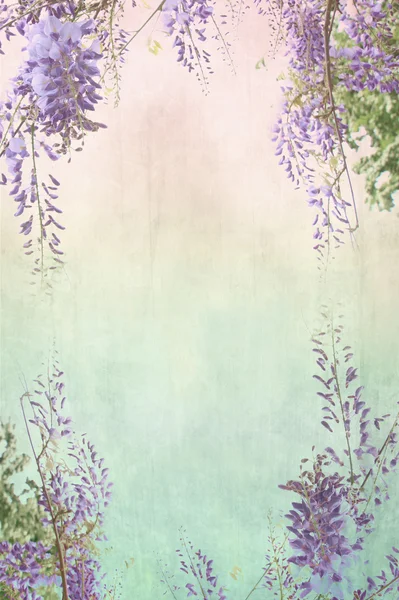 Грязный фон с цветочной окантовкой — стоковое фото