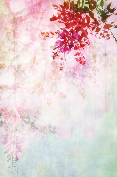 Fundo grungy com borda floral — Fotografia de Stock