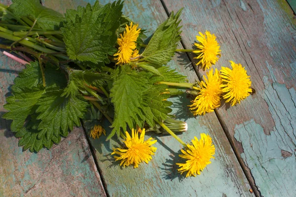 Erbe fresche, denti di leone — Foto Stock