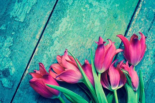 Tulipanes rojos de primavera —  Fotos de Stock