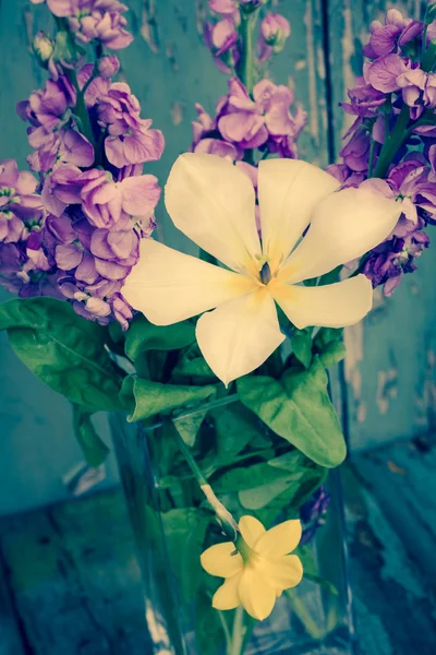 Spring flowers in the vase — Stock Photo, Image