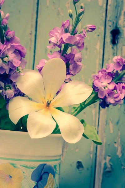 Flores de primavera no vaso — Fotografia de Stock