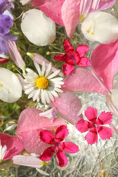 Mooie, floral p! NK, achtergrond — Stockfoto