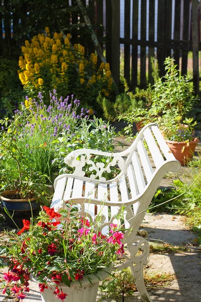 Schöner Sommergarten — Stockfoto