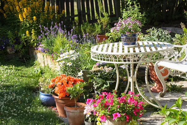 Beautiful summer garden — Stock Photo, Image