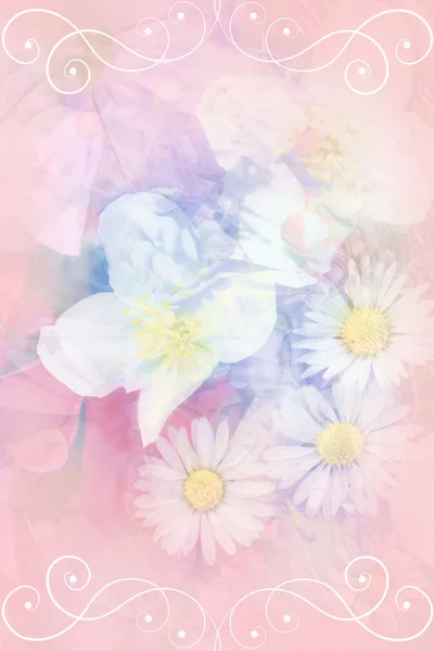 Pretty summer flowers  background — Stock Photo, Image