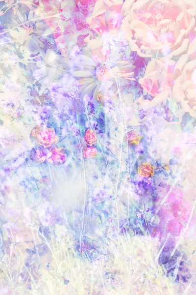 美しい夏の花の芸術の背景 — ストック写真