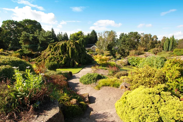 Mooie zomertuin — Stockfoto