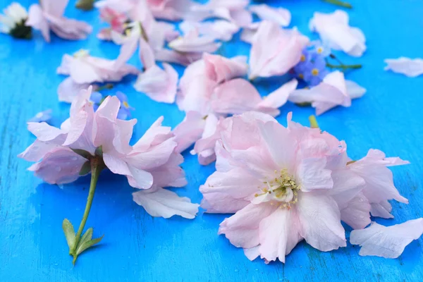 复古蓝色木制背景上的粉红日本樱桃花 — 图库照片