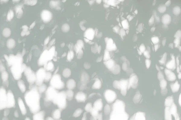影と葉の反射の日差し コンクリート壁の壁紙 影のオーバーレイ効果 モックアップデザイン上のジャングルツリーグレーの暗闇の影と照明 黒と白の抽象的な背景 — ストック写真