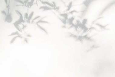 Yaprakların hafif gölgesi ve ağaç dalı arka planı. Doğal yapraklar ağaç dalları bej gölgeler ve beyaz duvar dokusunda güneş ışığı, gölge örtüsü mozaiği, grafik düzenleme, duvar kağıdı, arzulanan