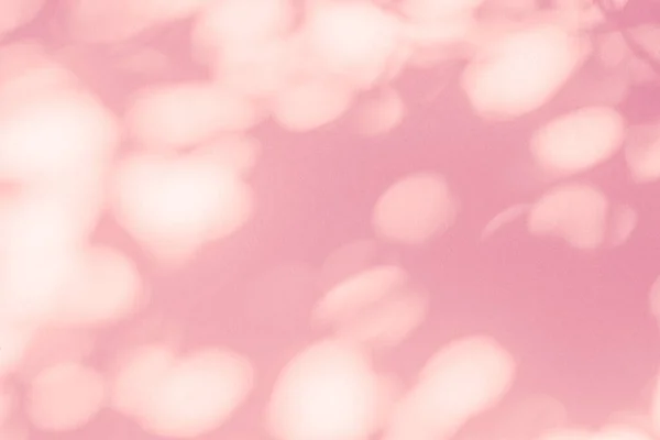 叶荫树枝在白墙质感上的粉红色背景 自然叶子粉红玫瑰金色阴影覆盖效果 模仿和设计 — 图库照片